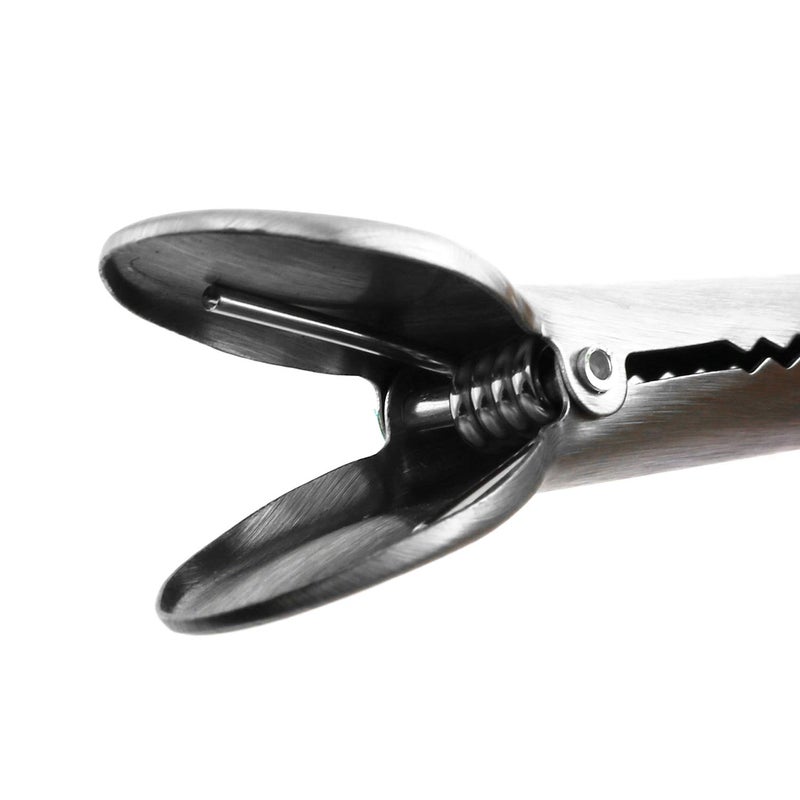 Ruiling 6pcs Heavy Duty Stainless Steel Alligator Clips, Jaw Sealing Clips, Fresh-Keeping Clamp and Airtight Seal Grip for Coffee and Food Bags - Image 5